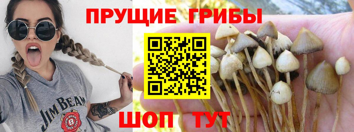 Галлюциногенные грибы мухоморы  даркнет сайт  Зима  Вход с VPN 
